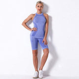 shopsharpe.com Activewear Blue / M Oasis Seamless Fitness Shorts & Top Set
