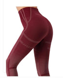 shopsharpe.com Activewear Elite Seamless High Waist Gym Leggings