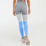 shopsharpe.com Activewear Express Contrast Seamless Gym Leggings