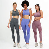 shopsharpe.com Activewear Rebel Seamless Fitness Leggings & Top Set