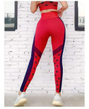 shopsharpe.com Activewear Trident High Waist Tummy Control Seamless Activewear Set