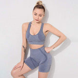 shopsharpe.com Gray Blue / M SALSPOR Seamless Women Yoga Sets Solid Sport 2PCs Gym Push Up Shorts Fitness Suits Sportwear Ourdoor Breathable Female Suits
