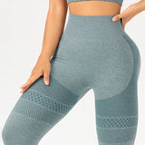 shopsharpe.com Activewear Mode Seamless Fitness Leggings & Cropped Top Set