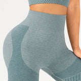 shopsharpe.com Activewear Mode Seamless Fitness Leggings & Cropped Top Set
