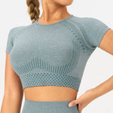 shopsharpe.com Activewear Mode Seamless Fitness Leggings & Cropped Top Set