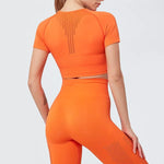 shopsharpe.com Activewear Mode Seamless Fitness Leggings & Cropped Top Set
