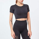 shopsharpe.com Black / S 2 Pcs Yoga Sport Suit Hollow Out Short Sleeve Fitness Crop Top+Seamless Leggings Tights Women Sportswear Gym Set Workout Clothes
