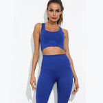 shopsharpe.com Blue / M Women Seamless Yoga Set Fitness Sports Suits Gym Clothing Long Sleeve Crop Top Shirts High Waist Running Leggings Workout Pants