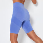 shopsharpe.com Cycling Shorts Blue / M High Waist Seamless Fitness & Cycling Shorts
