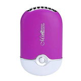 shopsharpe.com Purple / China Lash & Nail Mini USB Dryer