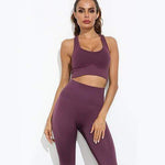 shopsharpe.com Purple / L Women Seamless Yoga Set Fitness Sports Suits Gym Clothing Long Sleeve Crop Top Shirts High Waist Running Leggings Workout Pants