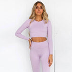 shopsharpe.com Purple Long Suit / S Seamless Sportswear Long Sleeve Top Yoga 2 PCS Sports Shirts Bra+Leggings Gym Clothes Sport Fitness Tracksuit Workout Set Female