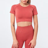shopsharpe.com Red / S 2 Pcs Yoga Sport Suit Hollow Out Short Sleeve Fitness Crop Top+Seamless Leggings Tights Women Sportswear Gym Set Workout Clothes